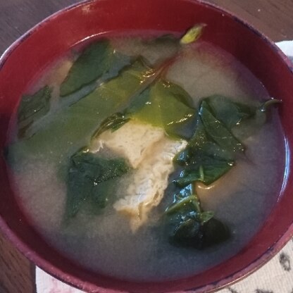 家庭菜園のつるむらさきです。朝活のひとつの味噌汁。ワカメみたいで美味しかったです！